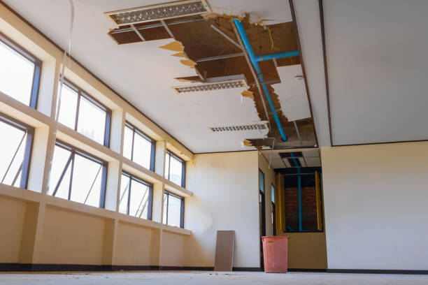  La Nte, MO Water damage restoration Pros