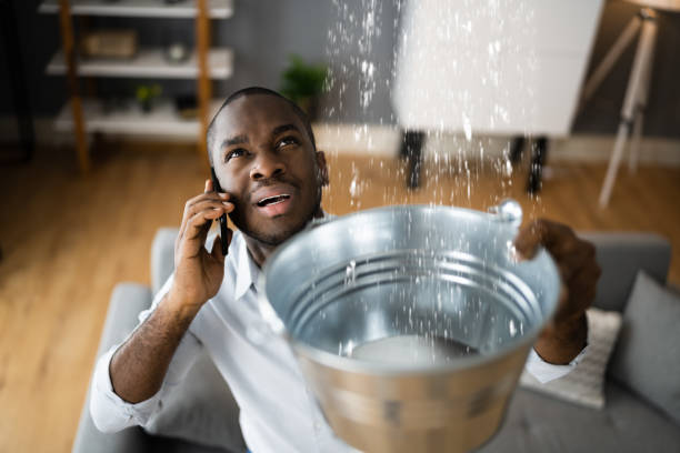 Best Water damage restoration cost  in La Nte, MO