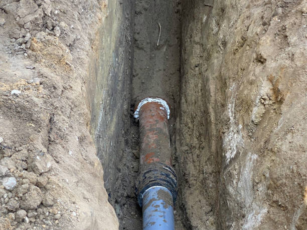 Best Basement water damage restoration  in La Nte, MO