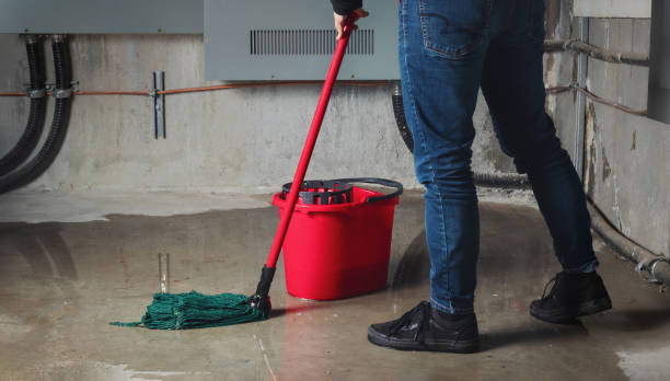 Best Carpet water damage restoration  in La Nte, MO