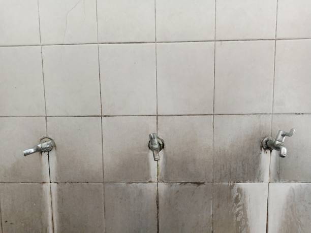 Best Ceiling water damage repair  in La Nte, MO