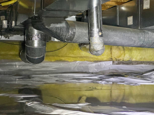 Best Local water damage restoration  in La Nte, MO