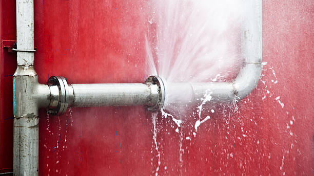 Best Flood restoration services  in La Nte, MO